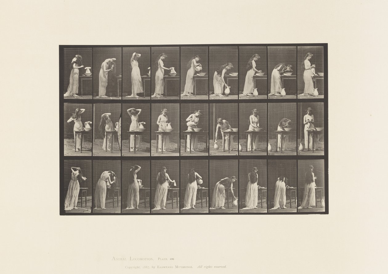 Levy 496. WC:n sekalaiset vaiheet, 1885 tekijältä Eadweard Muybridge