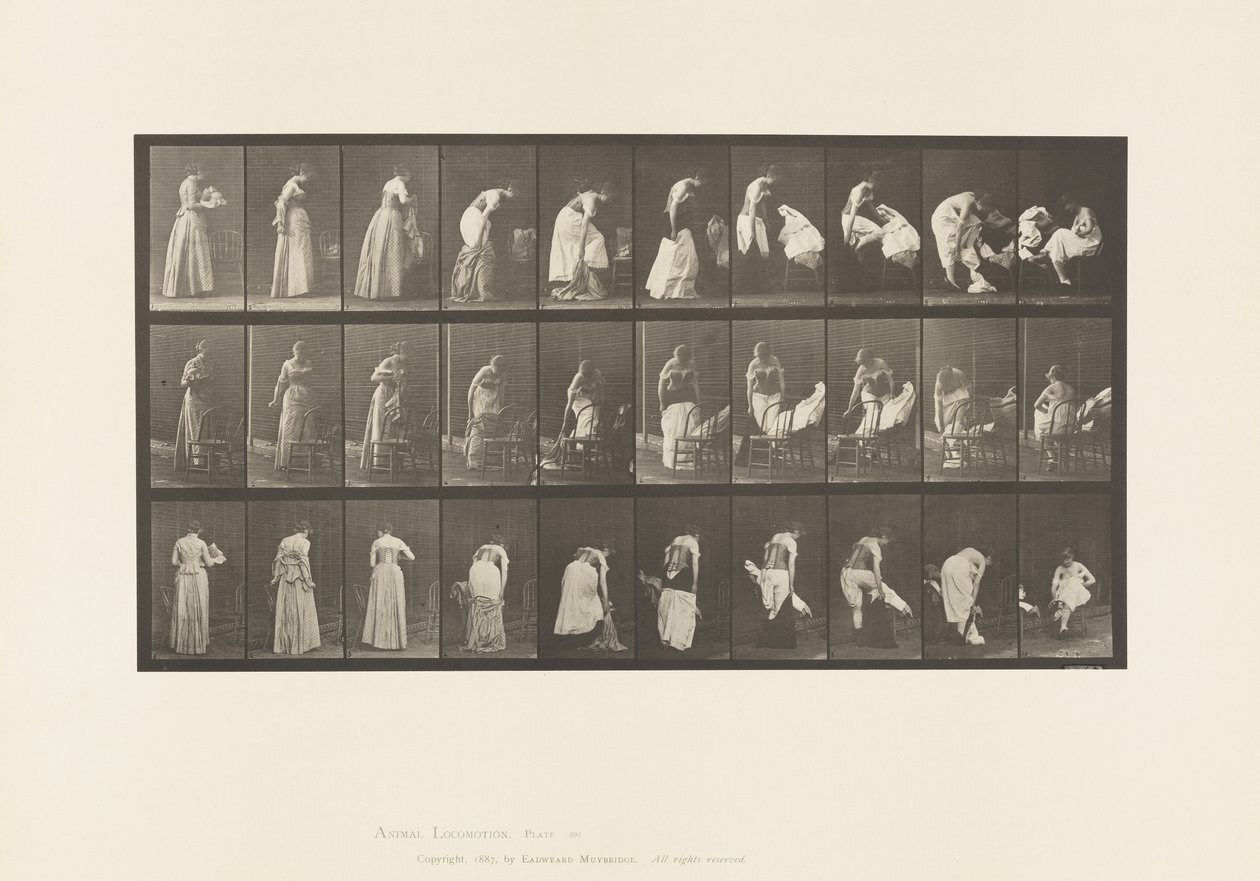Levy 497. WC:n sekalaiset vaiheet, 1885 tekijältä Eadweard Muybridge