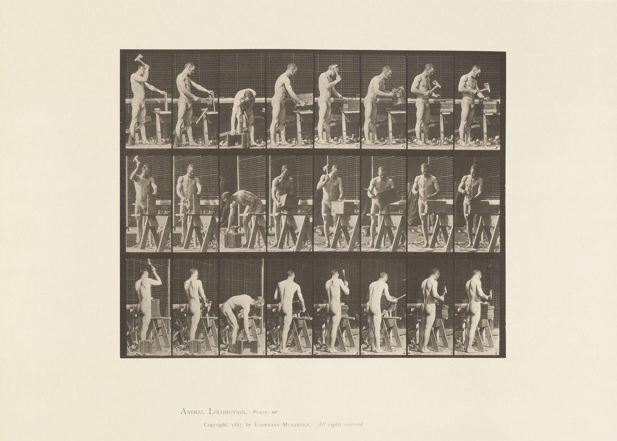 Lauta 507. Puusepäntyöt tekijältä Eadweard Muybridge