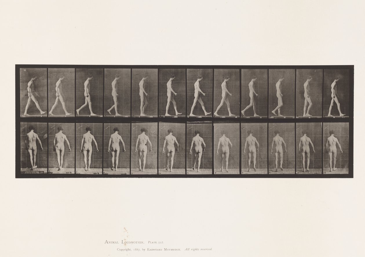 Levy 546. Liikunta-ataksia; Kävely, 1885 tekijältä Eadweard Muybridge
