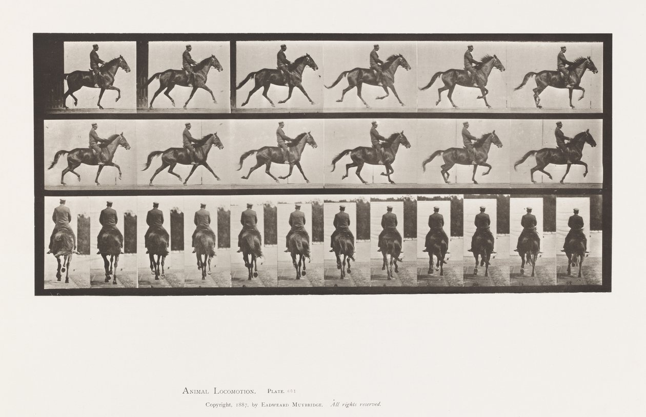 Levy 601. Ravi; Satula; Ruskea tamma kaunotar tekijältä Eadweard Muybridge