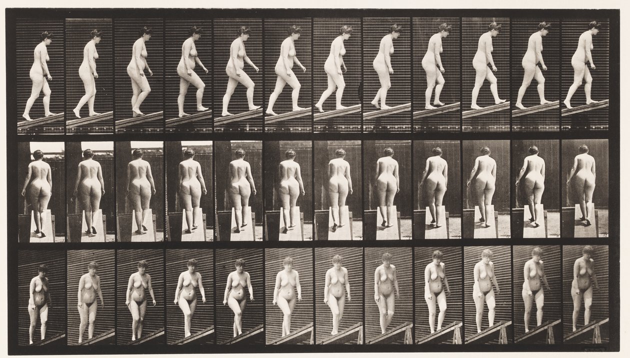 Levy 77. Nouseva kaltevuus tekijältä Eadweard Muybridge