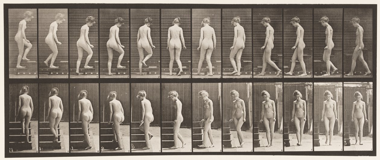 Levy 98. Kääntyvät ja nousevat portaat, 1872-1885 tekijältä Eadweard Muybridge
