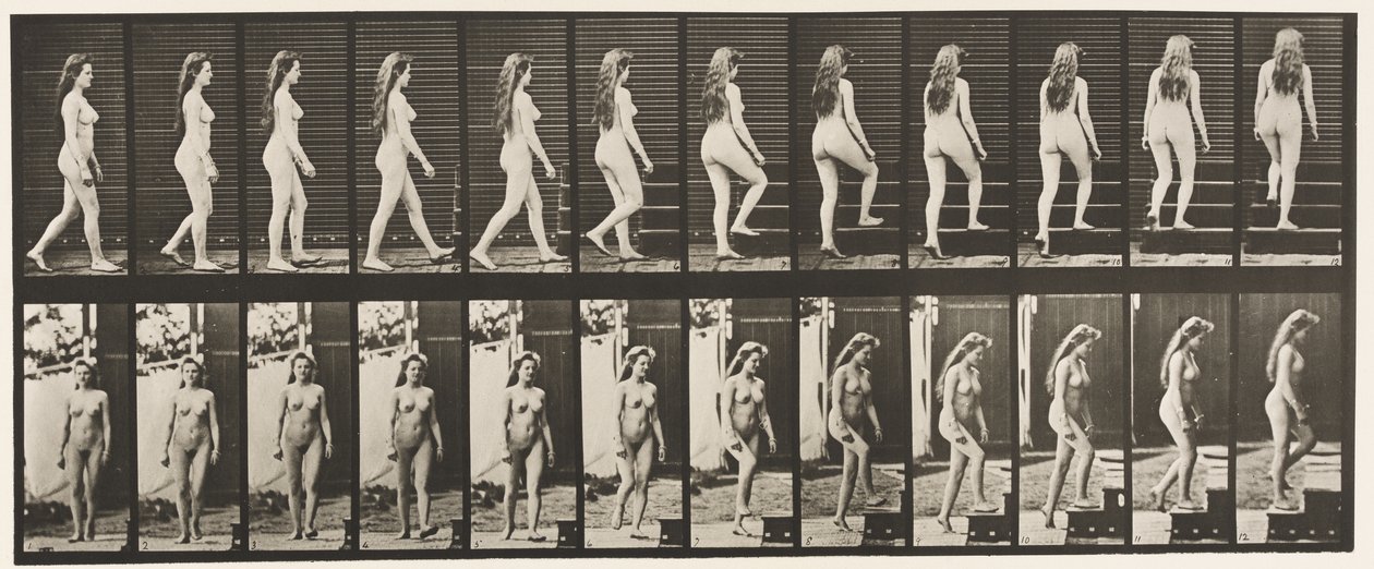 Levy 99. Kääntyvät ja nousevat portaat tekijältä Eadweard Muybridge