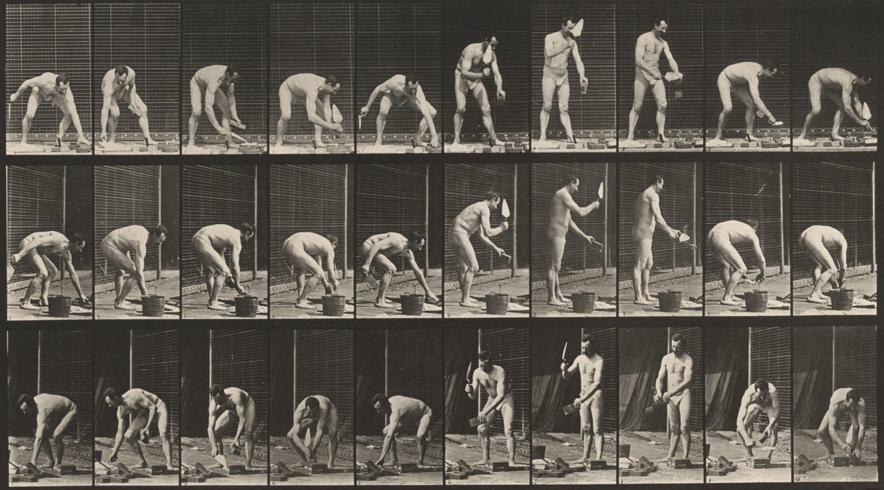 Kilpi numero 506. Muuraus,1887 (kuva) tekijältä Eadweard Muybridge