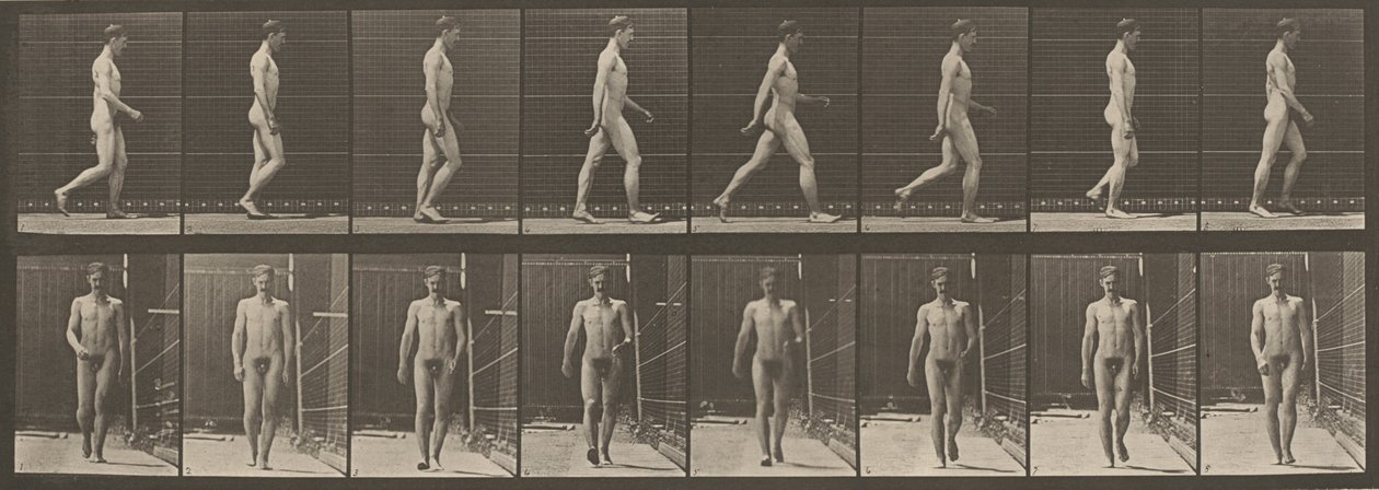 Kilpi numero 5. Kävely,1887 (kuva) tekijältä Eadweard Muybridge