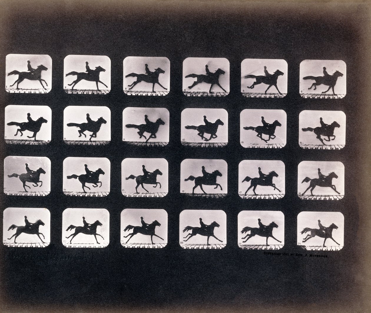 Juoksu (laukkaa) kirjoittanut Eadweard J. Muybridge tekijältä Eadweard Muybridge