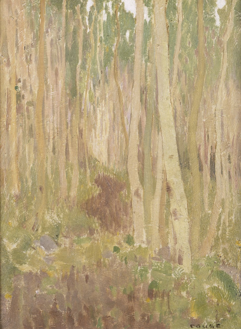Aspenin sinfonia, 1902 tekijältä Eanger Irving Couse