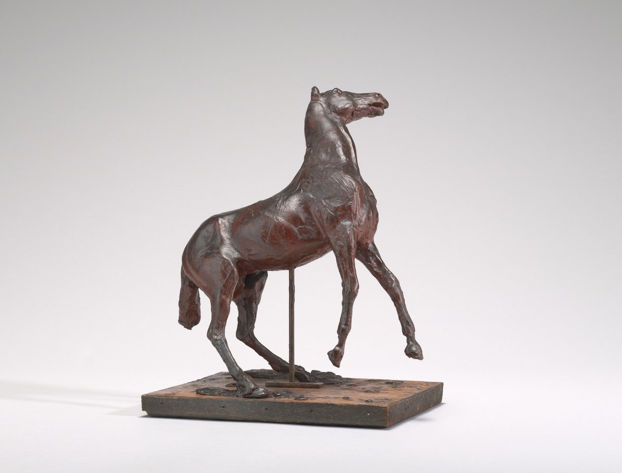 Hevoskasvatus, 1880-luku. tekijältä Edgar Degas