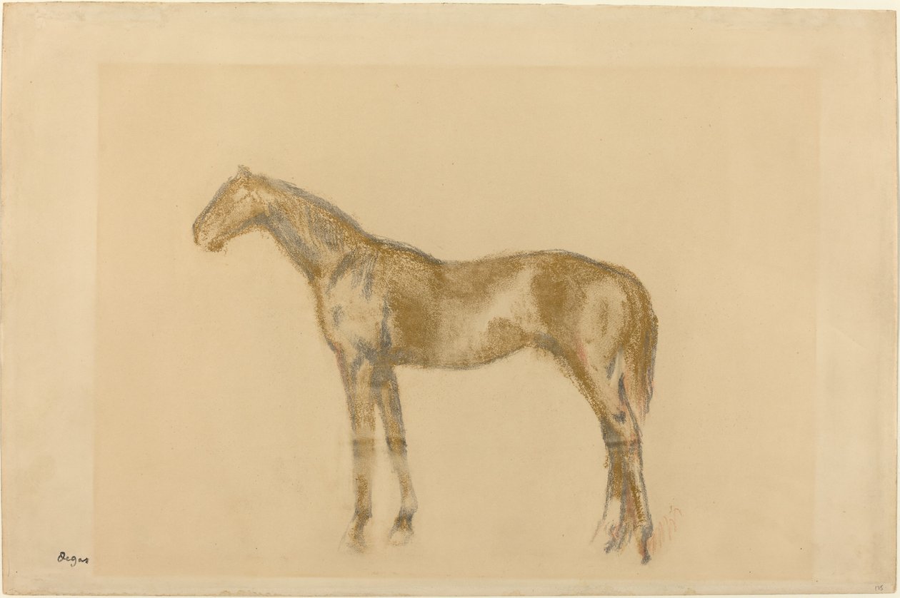 Hevonen, c. 1890. tekijältä Edgar Degas