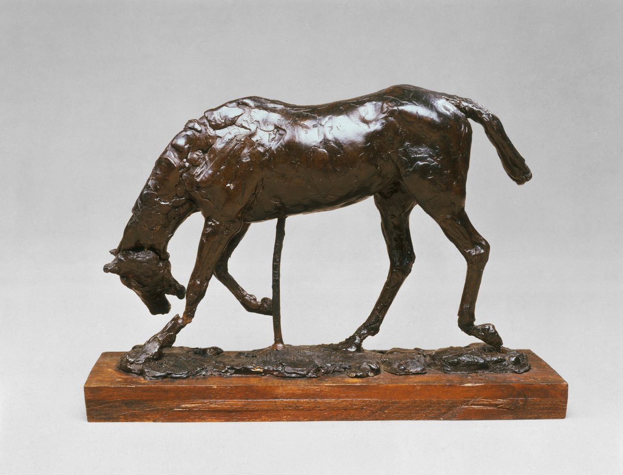 Hevonen, jonka pää on laskettu, 1880-1890-luku. tekijältä Edgar Degas