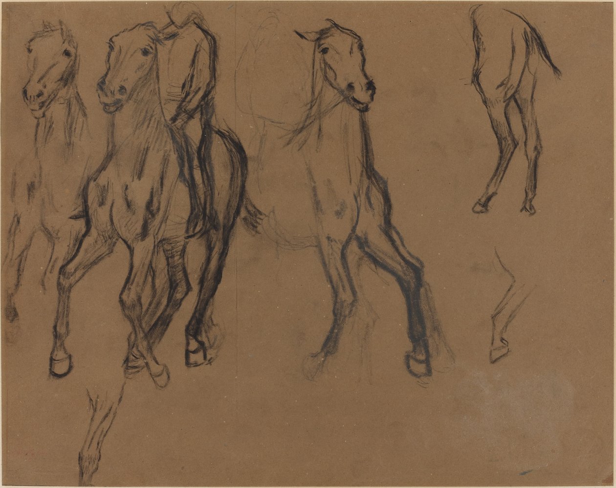 Hevostutkimus, n. 1886. tekijältä Edgar Degas