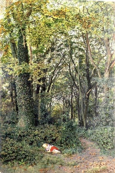 Kadonnut metsään tekijältä Edmund George Warren