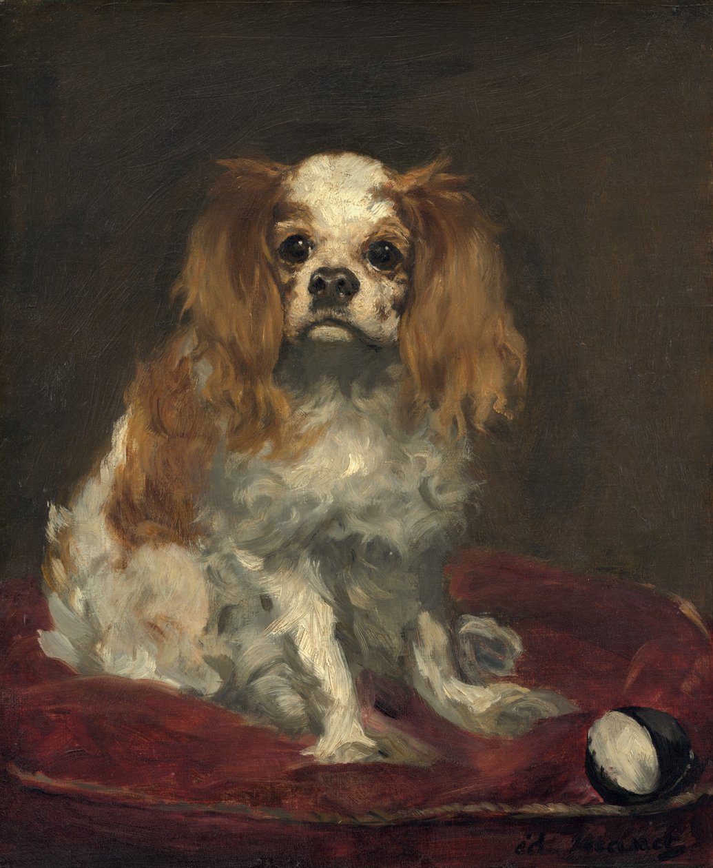 King Charles Spaniel, n. 1866. tekijältä Édouard Manet