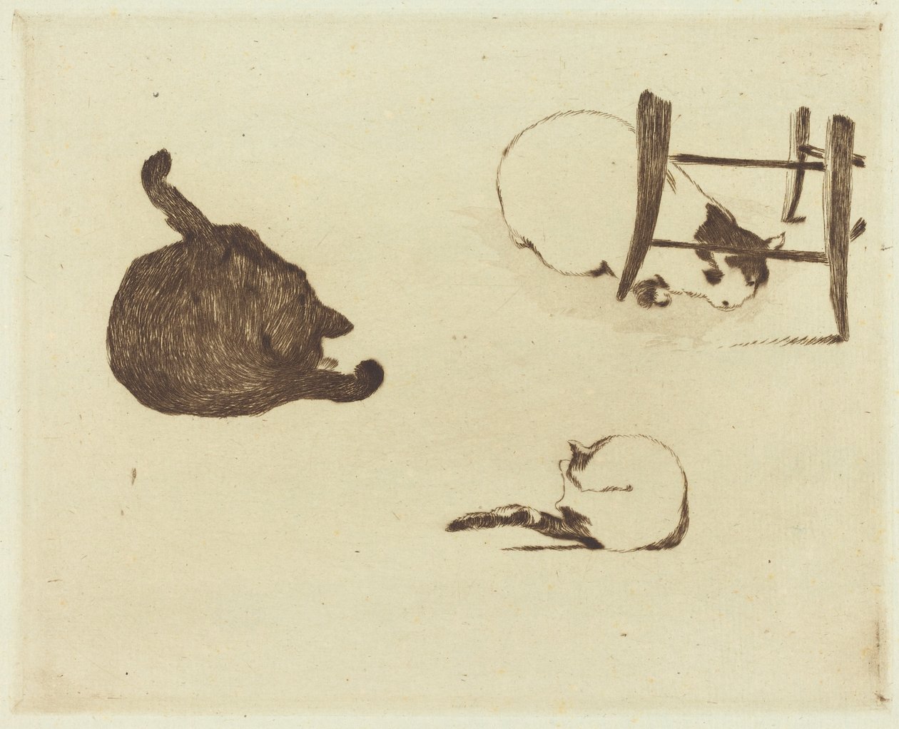 The Cats Les chatit, 1869. tekijältä Édouard Manet
