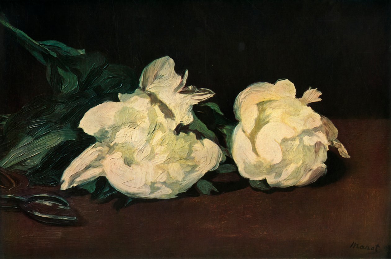 Valkoiset pionit, 1864, 1937. tekijältä Édouard Manet