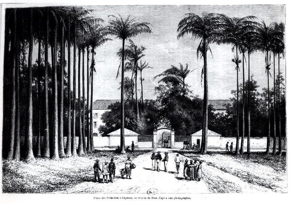 Place des Palmistes, Cayenne, Guyana tekijältä Edouard Riou