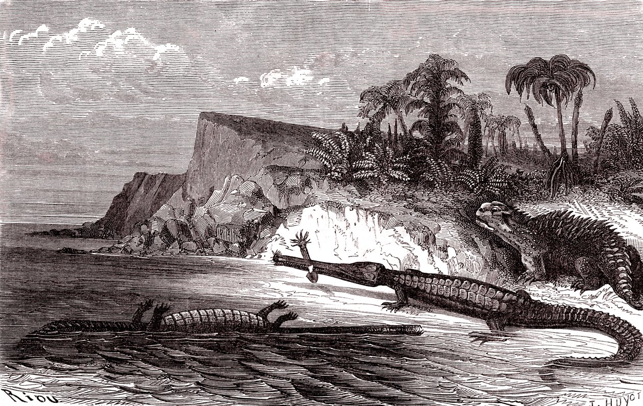Teleosaurus ja Hyleosaurus tekijältä Edouard Riou