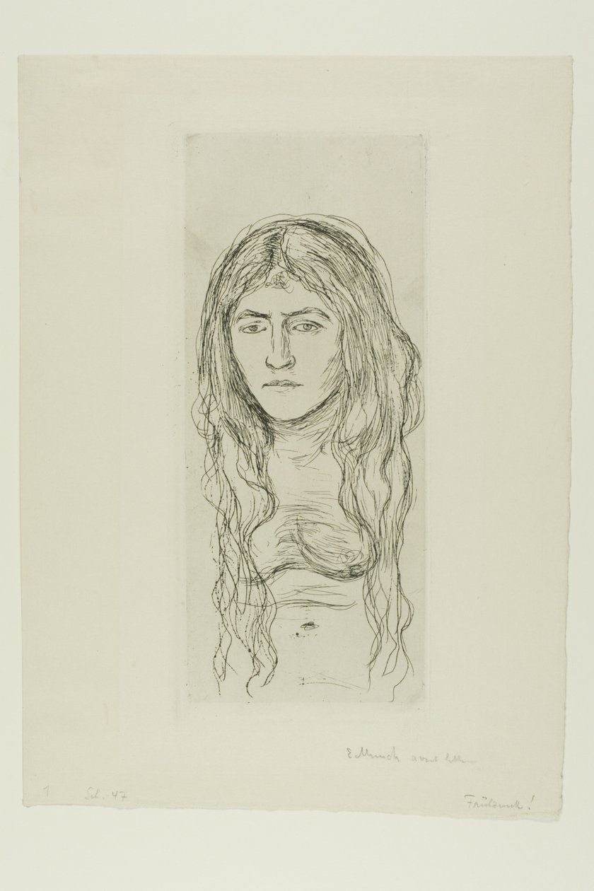 Nainen pitkät hiukset tekijältä Edvard Munch