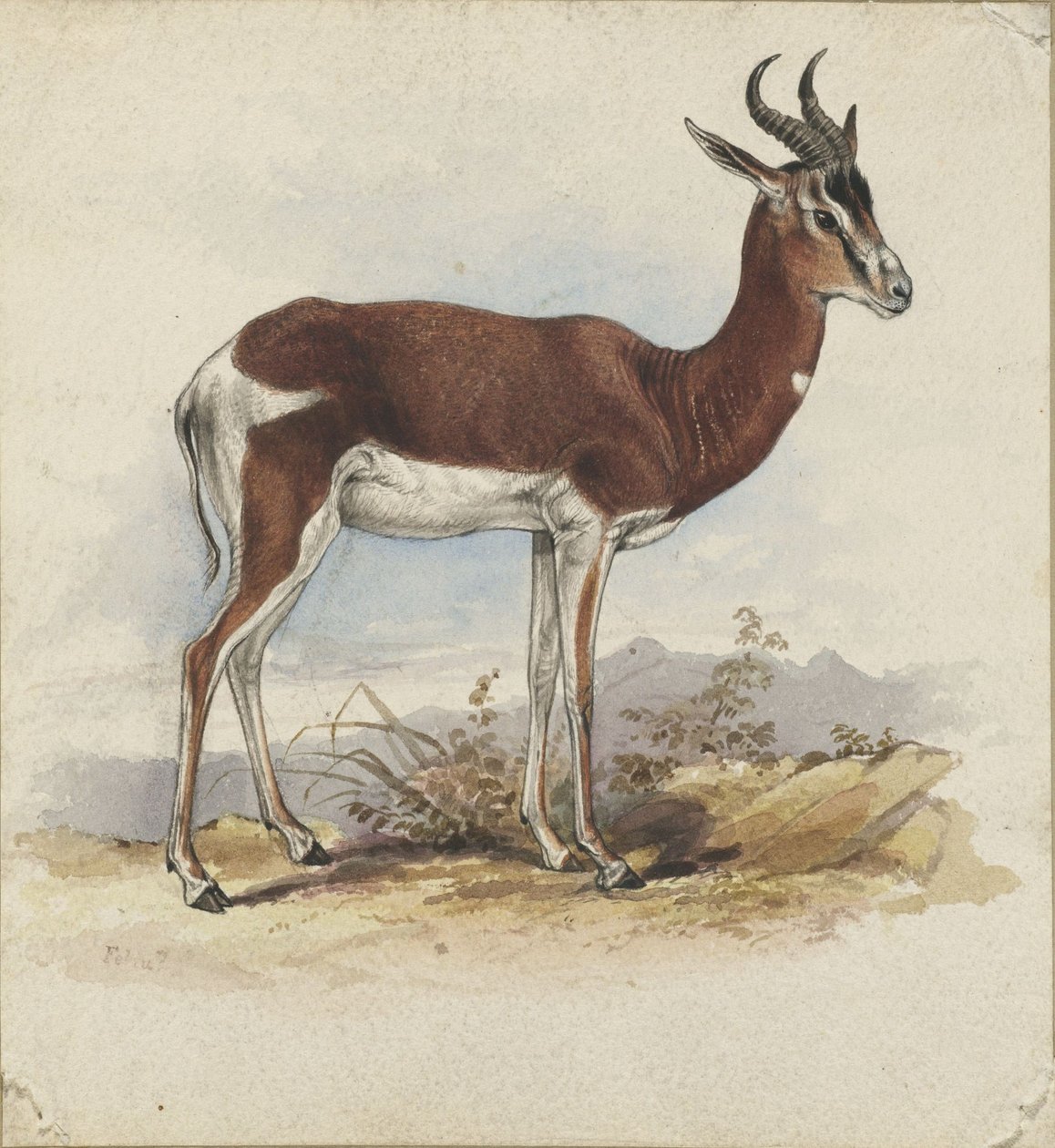 Antilooppi tekijältä Edward Lear