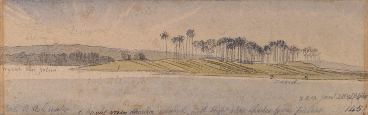 Dhauran saari tekijältä Edward Lear