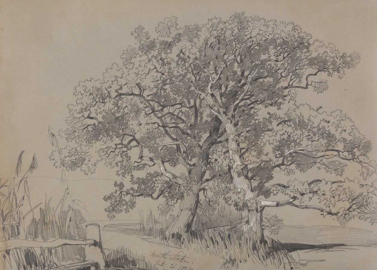 Pohjois -Stoke. Lokakuuta 21.1834. tekijältä Edward Lear