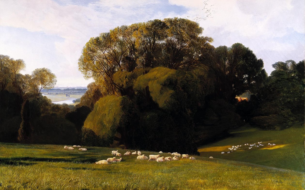 Nuneham tekijältä Edward Lear