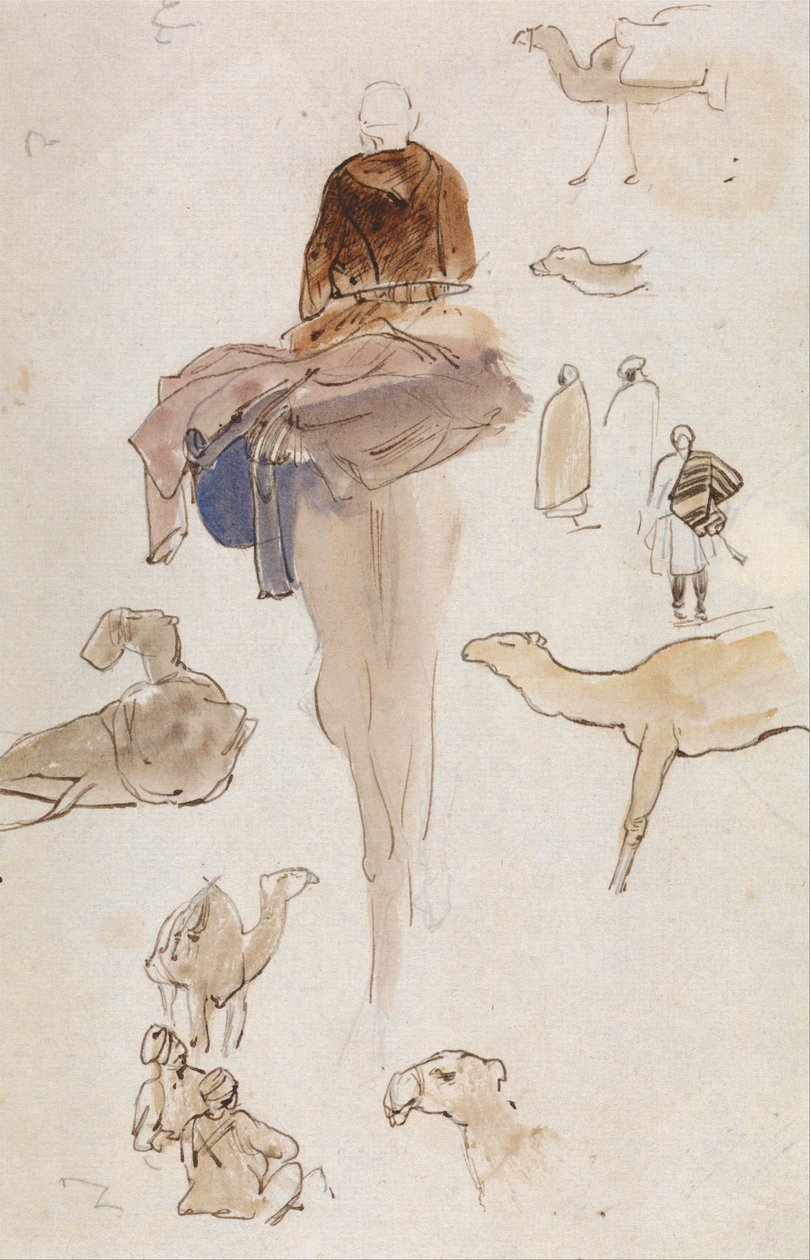Kamelien tutkimukset tekijältä Edward Lear