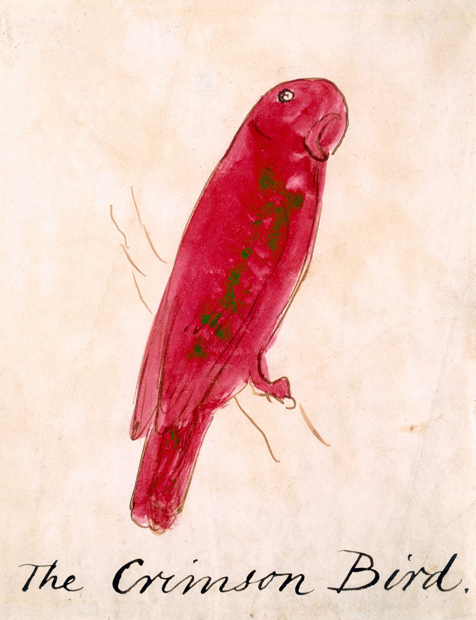 The Crimson Bird, sarjasta "Sixteen Drawings of Comic Birds" (kynä ja muste wc paperilla) tekijältä Edward Lear