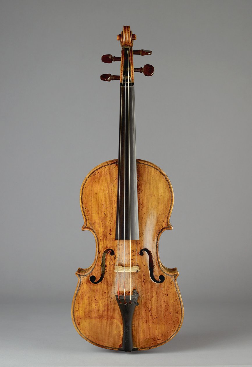 Viulu (puu) tekijältä Edward Pamphilon