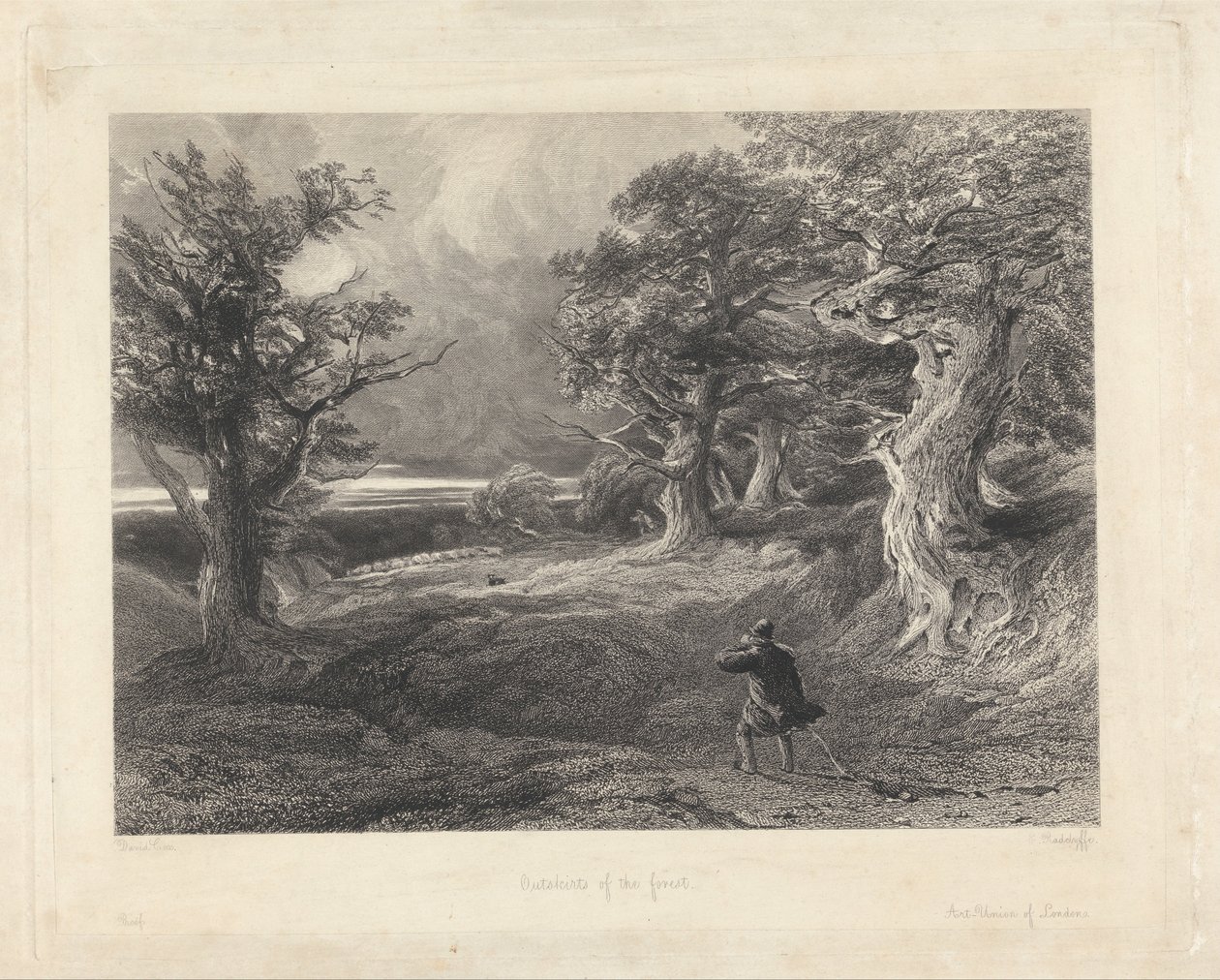 Metsän laitamilla tekijältä Edward Radclyffe