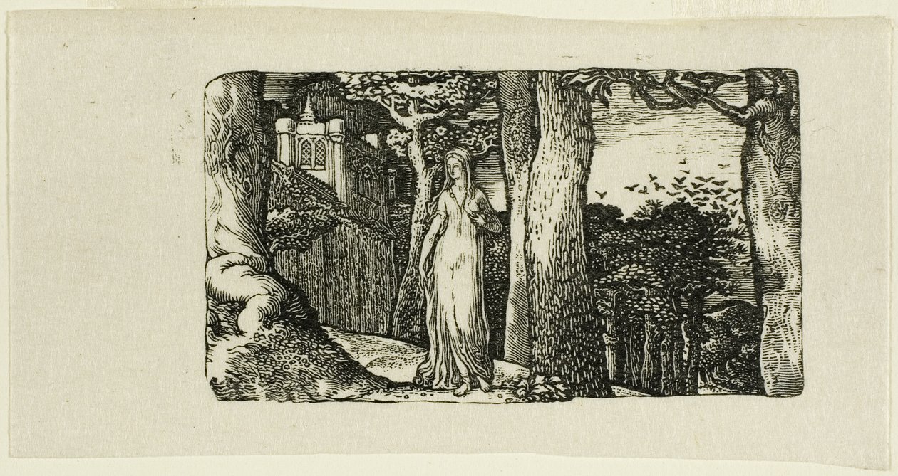 Lady ja Rooks tekijältä Edward Calvert