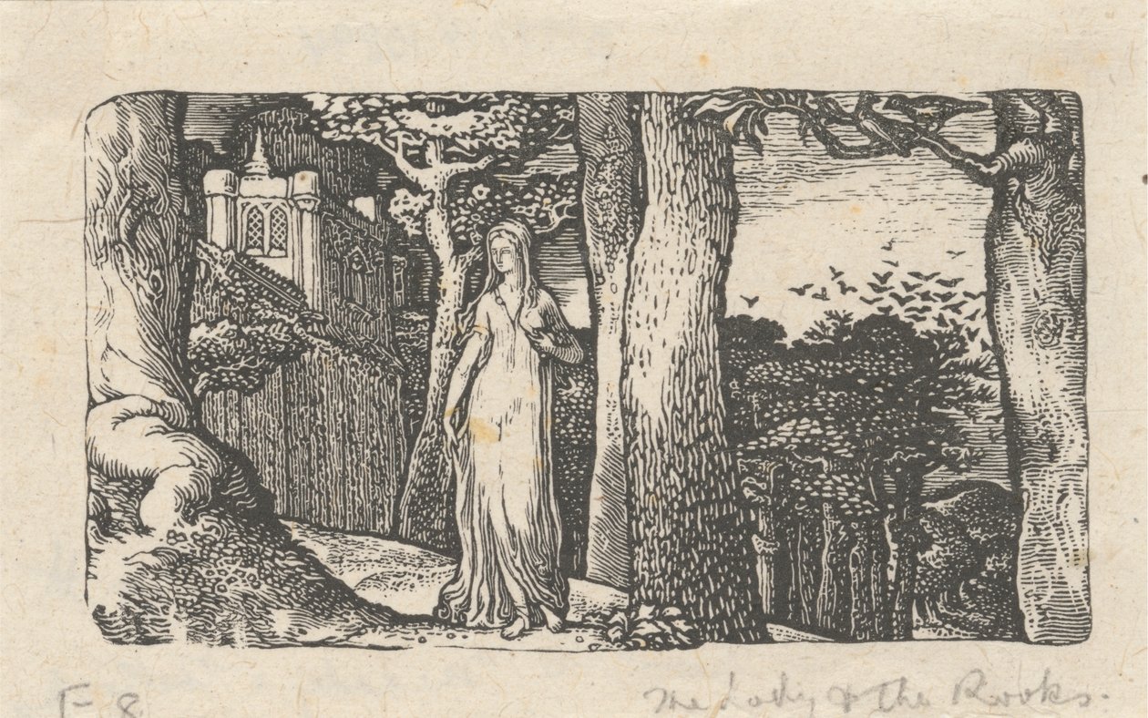 Lady ja Rooks tekijältä Edward Calvert