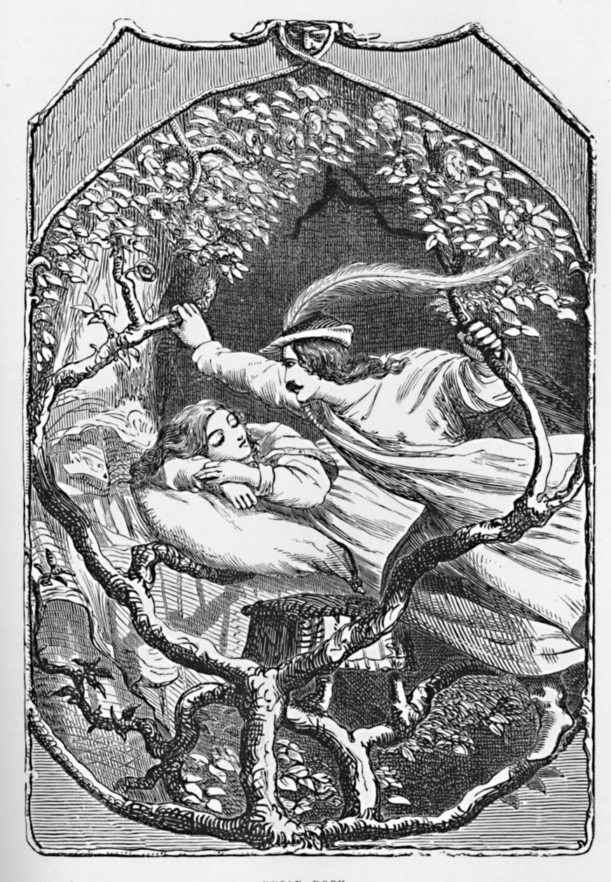 Briar Rose, 1901 tekijältä Edward Henry Wehnert