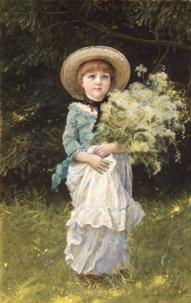 Meadowsweet tekijältä Edward Killingworth Johnson