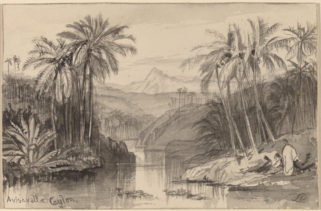 Avisavella, Ceylon, 18841885. tekijältä Edward Lear