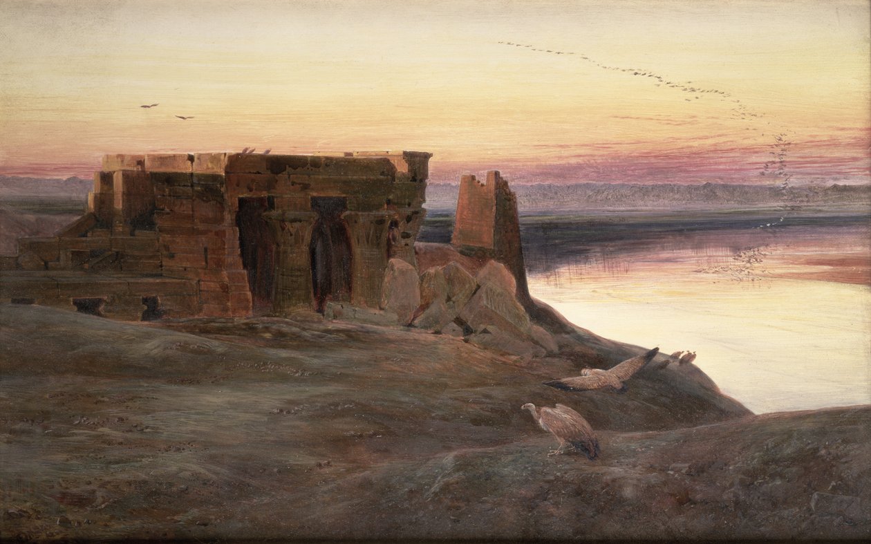 Tule Ombo-temppeliin, Egyptiin tekijältä Edward Lear