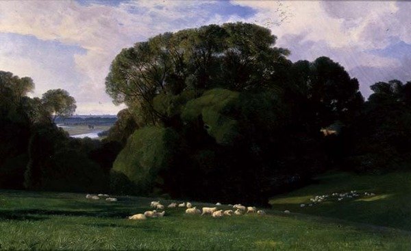 Nuneham tekijältä Edward Lear