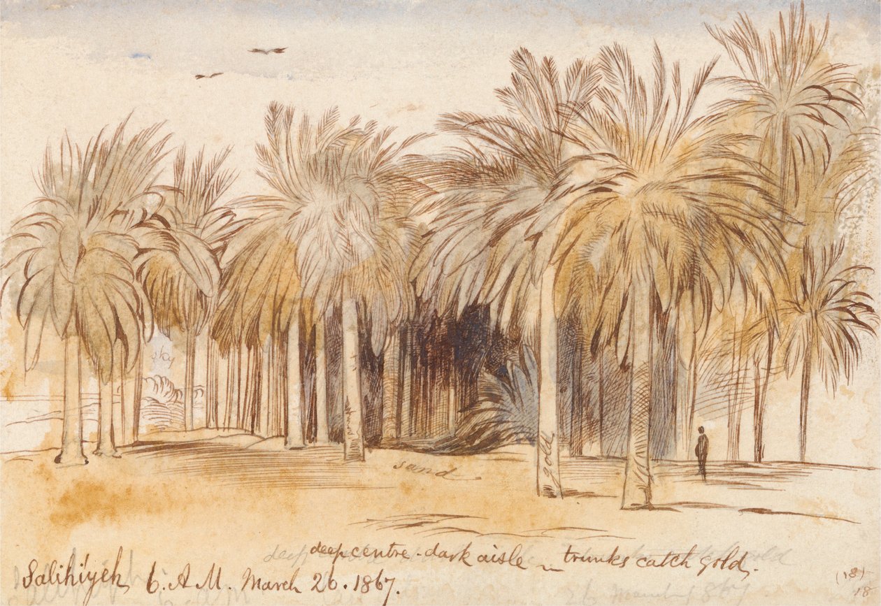 Salahiyeh tekijältä Edward Lear