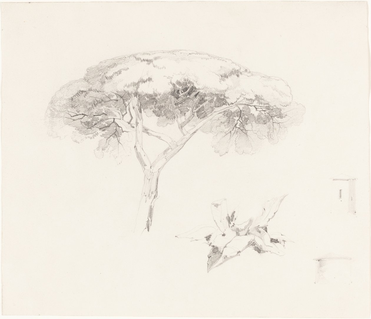 Sateenvarjomänty ja muut tutkimukset tekijältä Edward Lear