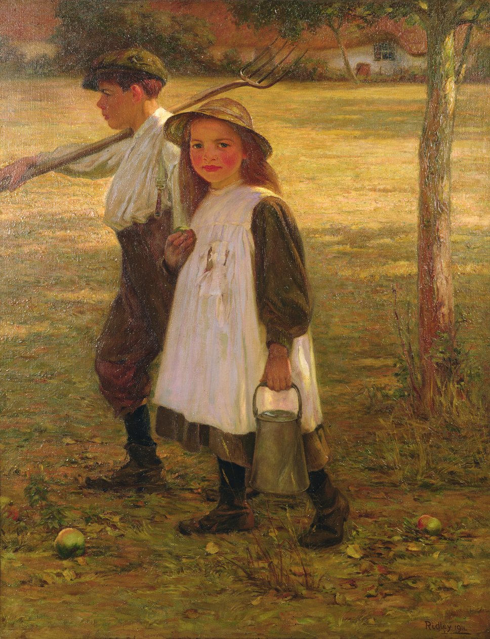 Kotiin tekijältä Edward Ridley