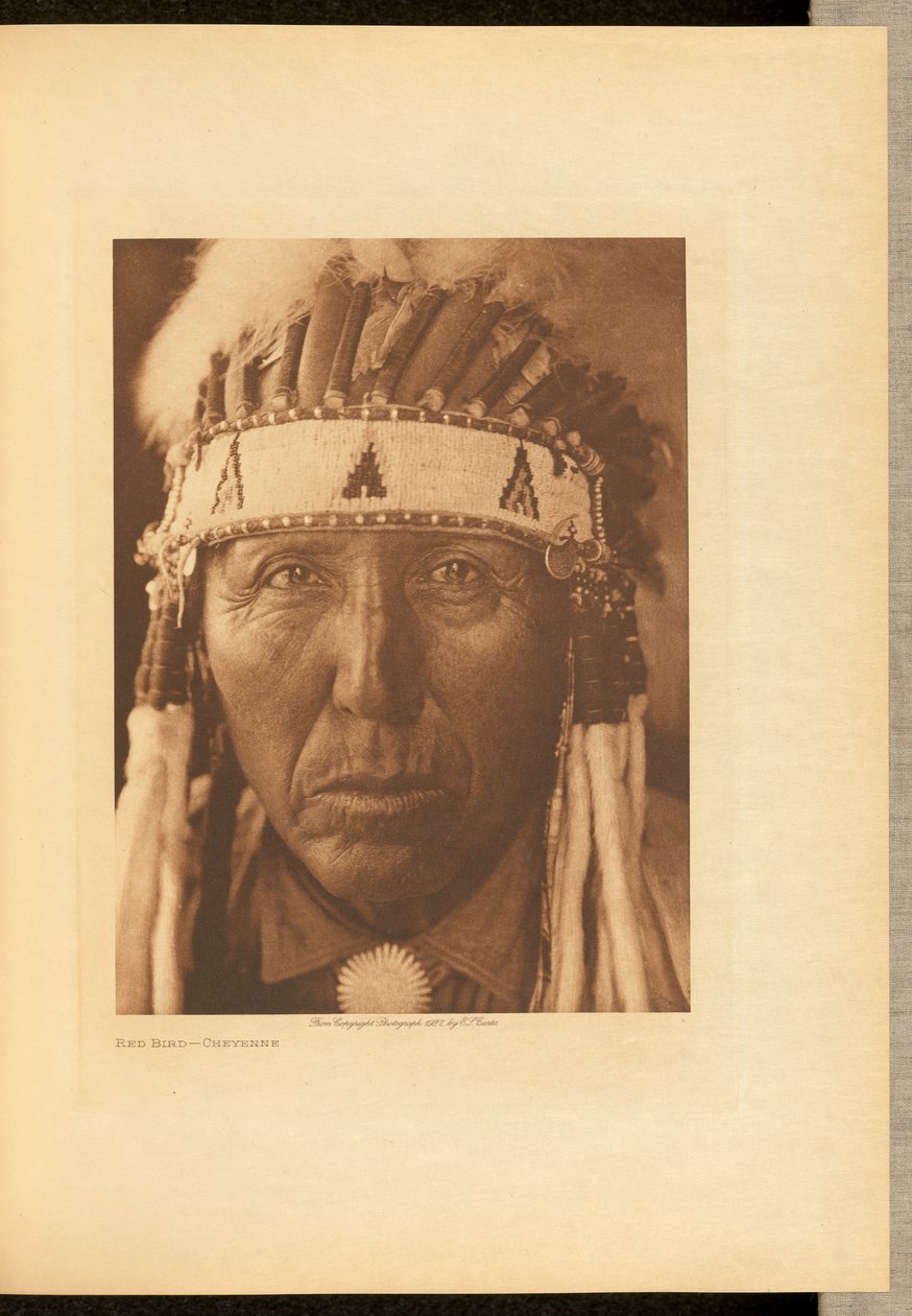 Red Bird - Cheyenne tekijältä Edward S. Curtis