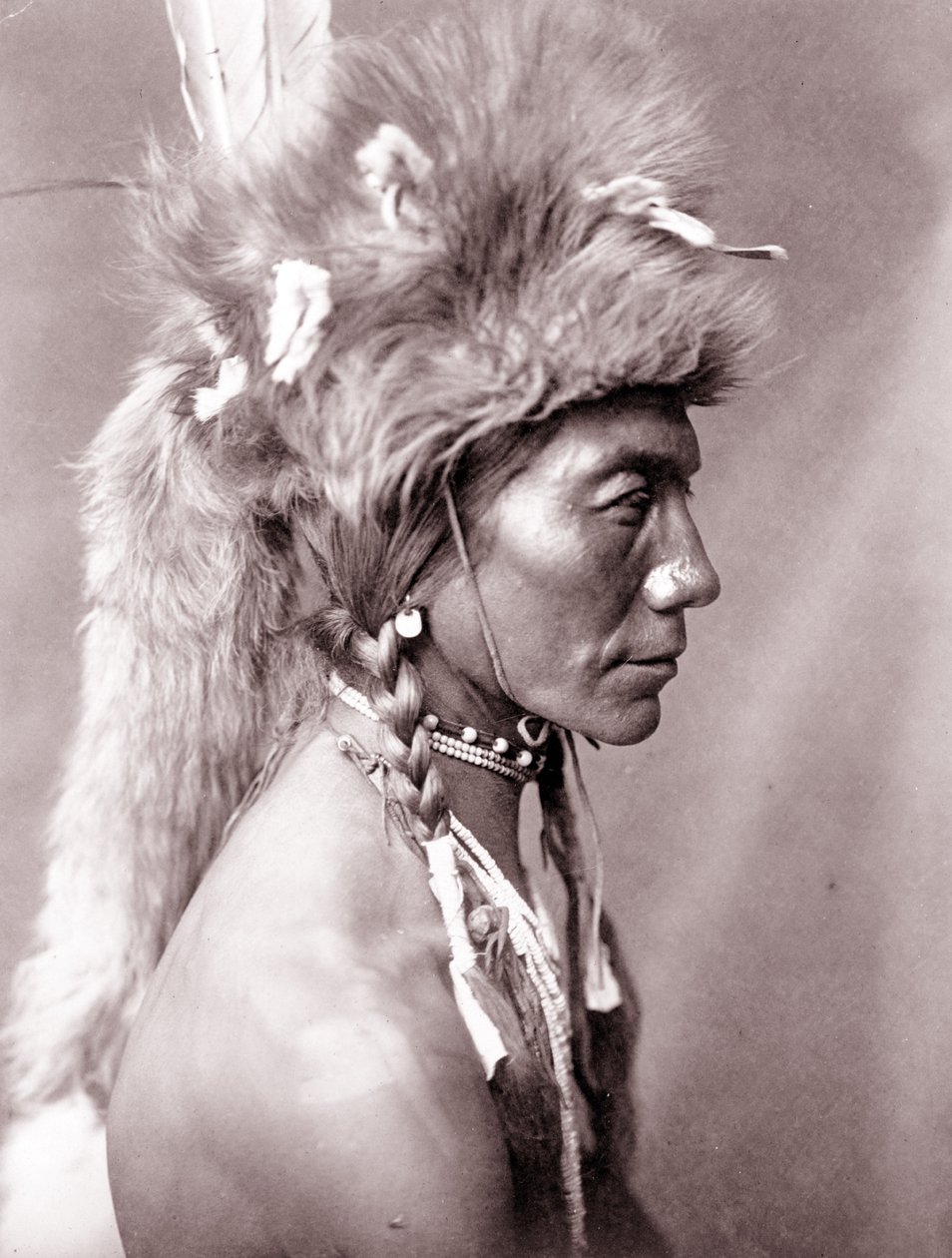 Keltainen munuainen, Piegan tekijältä Edward Sheriff Curtis