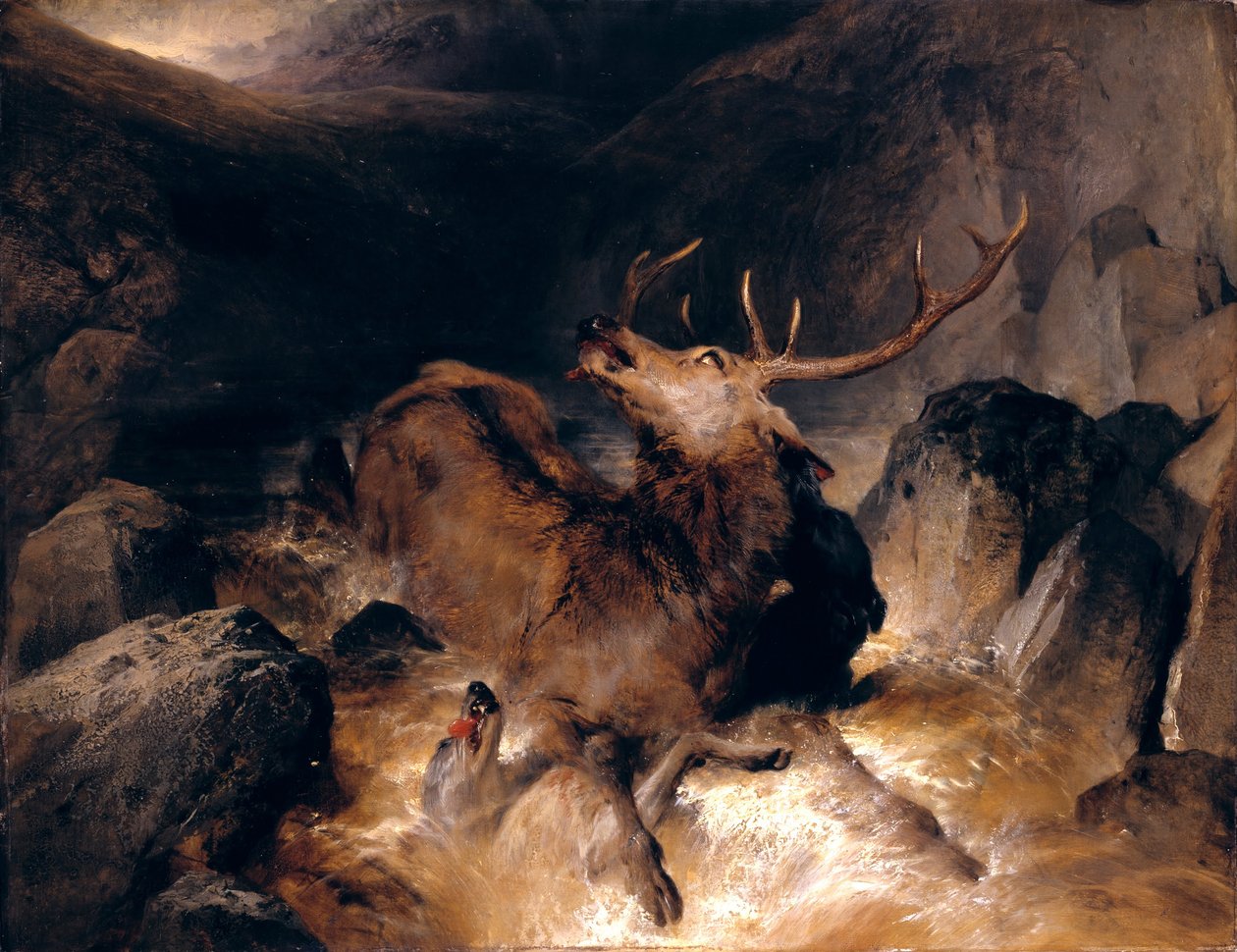 Hirvet ja hirvikoirat vuoristovirrassa tekijältä Edwin Landseer