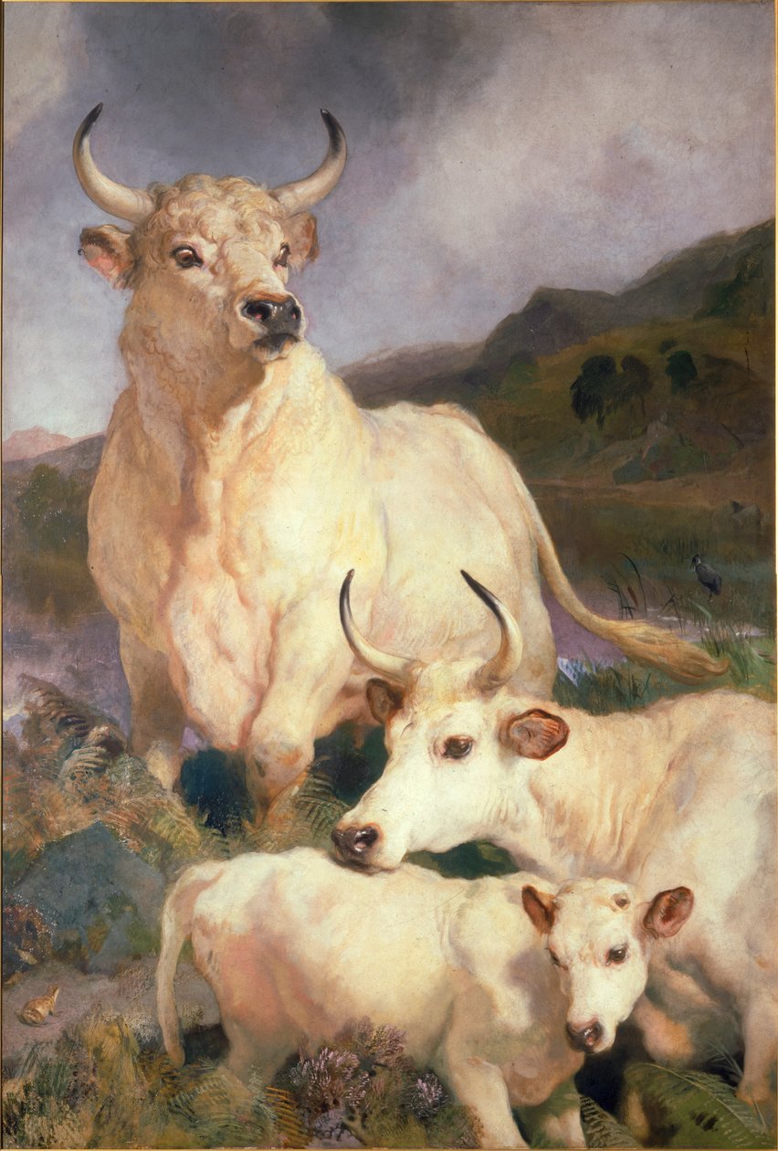 Chillinghamin villikarja, Northumberland, n. 1867 tekijältä Edwin Landseer