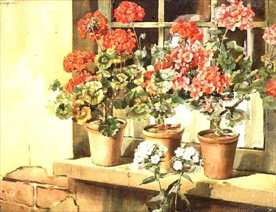 Geraniums tekijältä Edwin Byatt