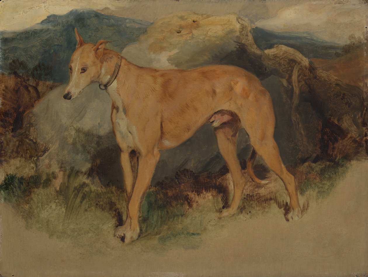 Deerhound, 1826. tekijältä Edwin Landseer