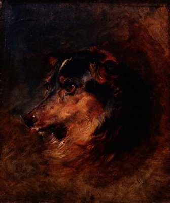 Collie-koiran päätutkimus tekijältä Edwin Landseer