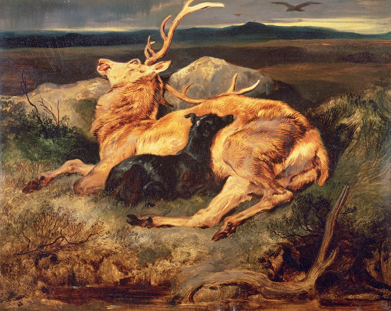 Stag tekijältä Edwin Landseer