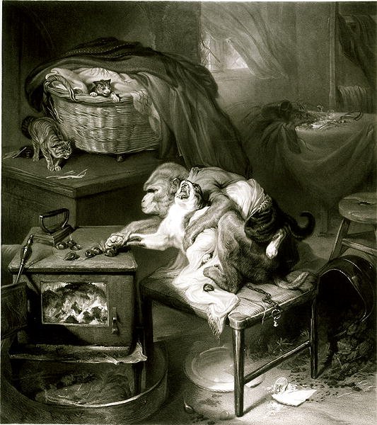 Kissan tassu (kaiverrus) tekijältä Edwin Landseer